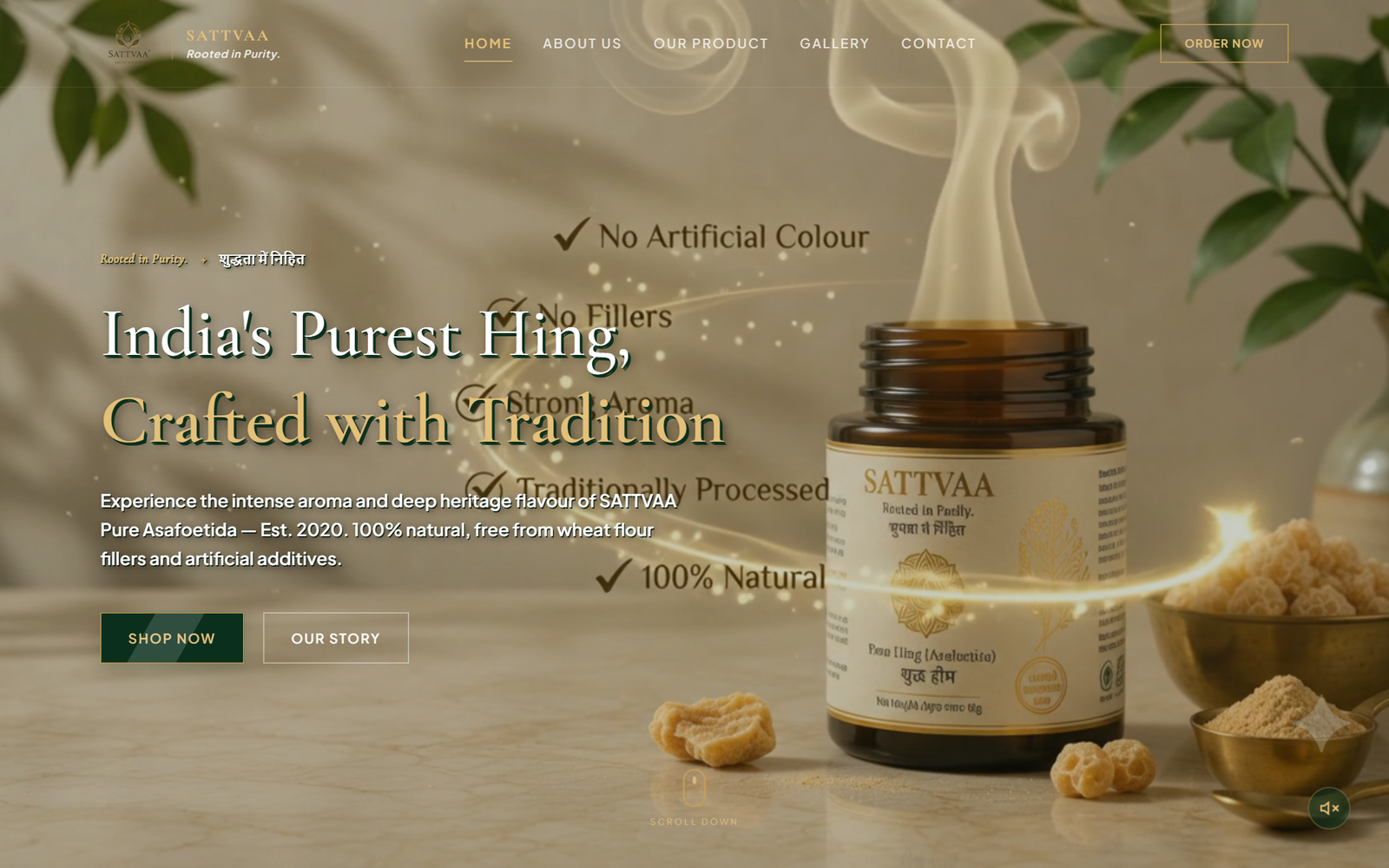 Sattvaa Wellness Website